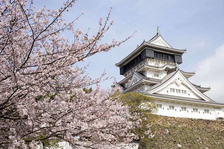 Kyushu menghadirkan Jepang yang lengkap: sejarah, budaya, dan panorama indah dari ketinggian menara.