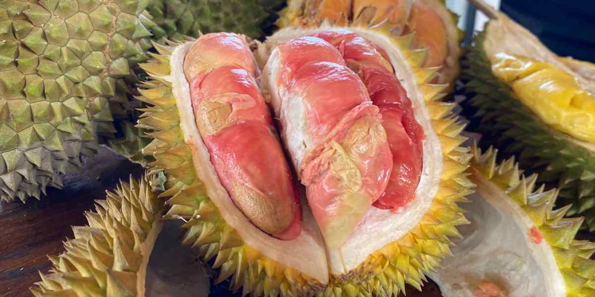 Warna merahnya khas, rasanya kuat, dan nilainya kini makin tinggi&mdash;bukan hanya untuk pasar, tapi juga untuk petani dan identitas daerah.