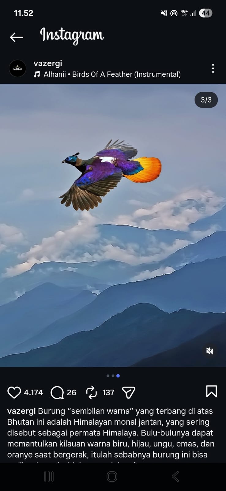 Warna bulu Himalayan Monal terlihat berubah-ubah karena struktur mikroskopis