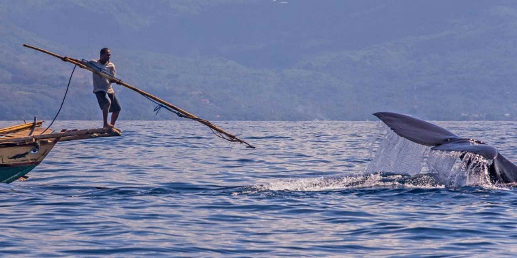 Di Lamalera, laut bukan tempat liburan. Ia adalah hidup, warisan, dan pertaruhan nyawa. Kisah epos para pemburu paus terakhir Indonesia.