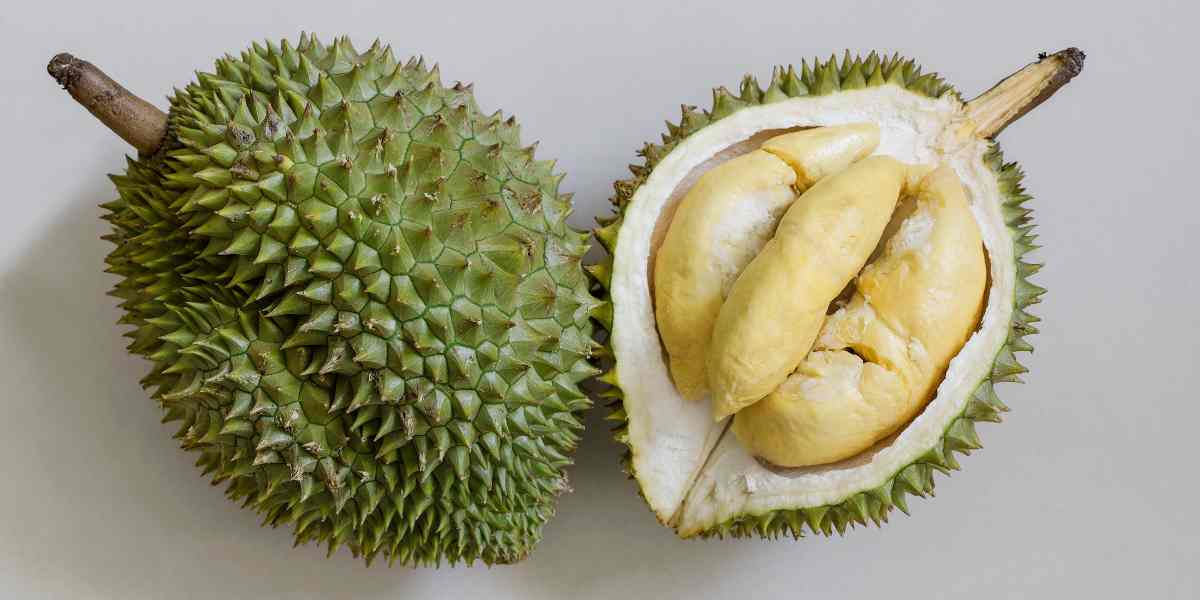 Durian, sang &ldquo;raja buah&rdquo;, tidak hanya menggugah selera tetapi juga kaya nutrisi dan beragam manfaat kesehatan &mdash; mulai dari dukungan pencernaan hingga keseimbangan tekanan darah.