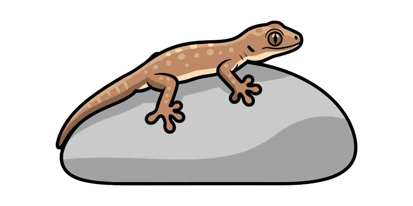 Tak perlu panik saat cicak berkeliaran di rumah. Terapkan 8 cara alami ini agar hunian tetap bersih, nyaman, dan bebas cicak tanpa bahan kimia berbahaya.