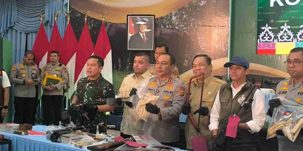 Jejak gading gajah Sumatra dari Tesso Nilo hingga Solo akhirnya terungkap. Rantai perburuan dan perdagangan ilegal ini membuka mata tentang ancaman serius terhadap satwa dilindungi di Indonesia.