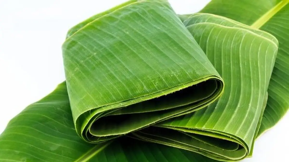 WALHI mendorong UMKM beralih ke kemasan daun pisang dan kertas sebagai solusi atas mahalnya plastik sekaligus menjaga lingkungan (Ilustrasi daun Pisang)
