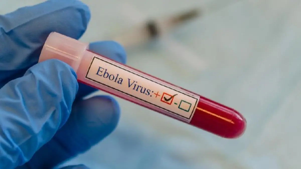 Wabah Ebola langka kembali mengguncang Afrika. WHO kini menetapkan status darurat internasional setelah puluhan orang meninggal dan virus mulai menyebar lintas negara. (detik.com)
