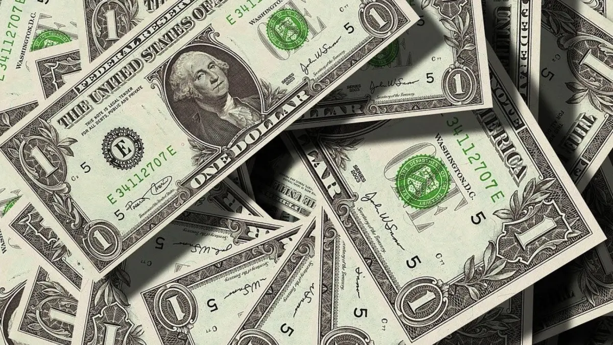 Dolar naik, harga barang ikut mahal. Banyak orang mulai cari investasi aman agar uang tidak terus tergerus inflasi! (pixabay)