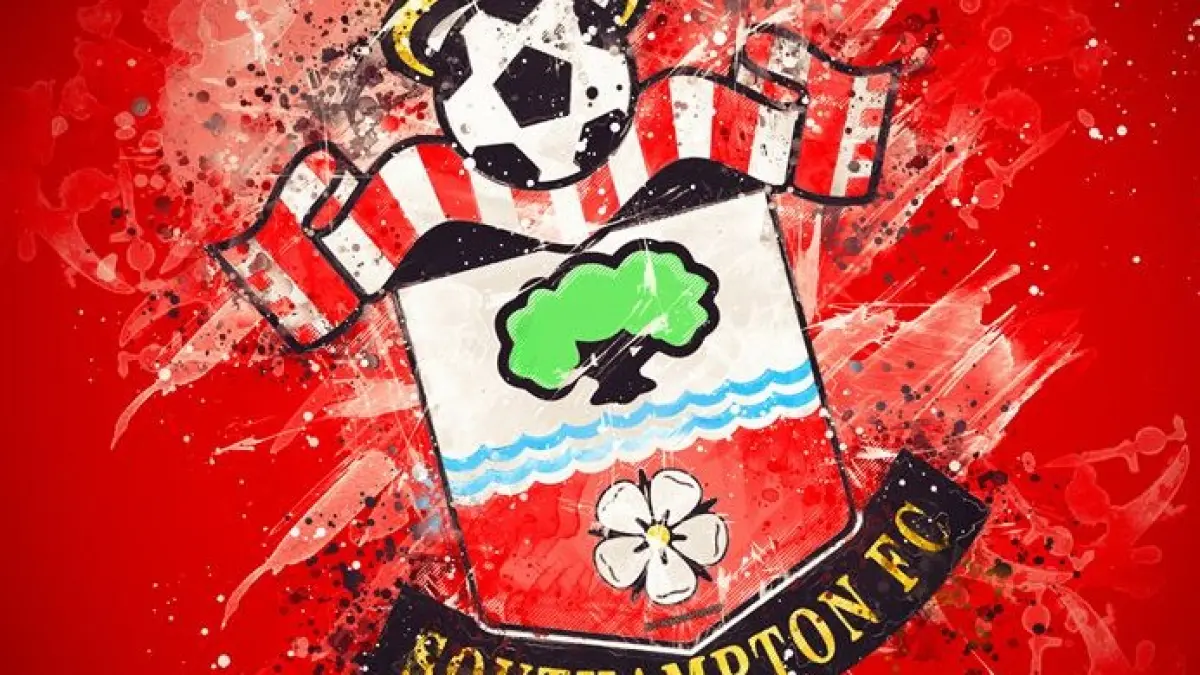 Southampton gagal ke Premier League bukan karena kalah di lapangan, tapi karena skandal “spygate” yang mengguncang sepak bola Inggris!  (Sumber foto : pinterest)