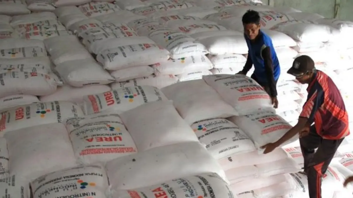 Di tengah kelangkaan pupuk yang dikeluhkan petani, polisi justru menemukan dugaan praktik penjualan pupuk bersubsidi dengan harga jauh di atas ketentuan. Sebanyak 7,3 ton pupuk kini diamankan sebagai barang bukti. (Sumber Foto: Pinterest. Ilustrasi Pupuk Urea bersubsidi)