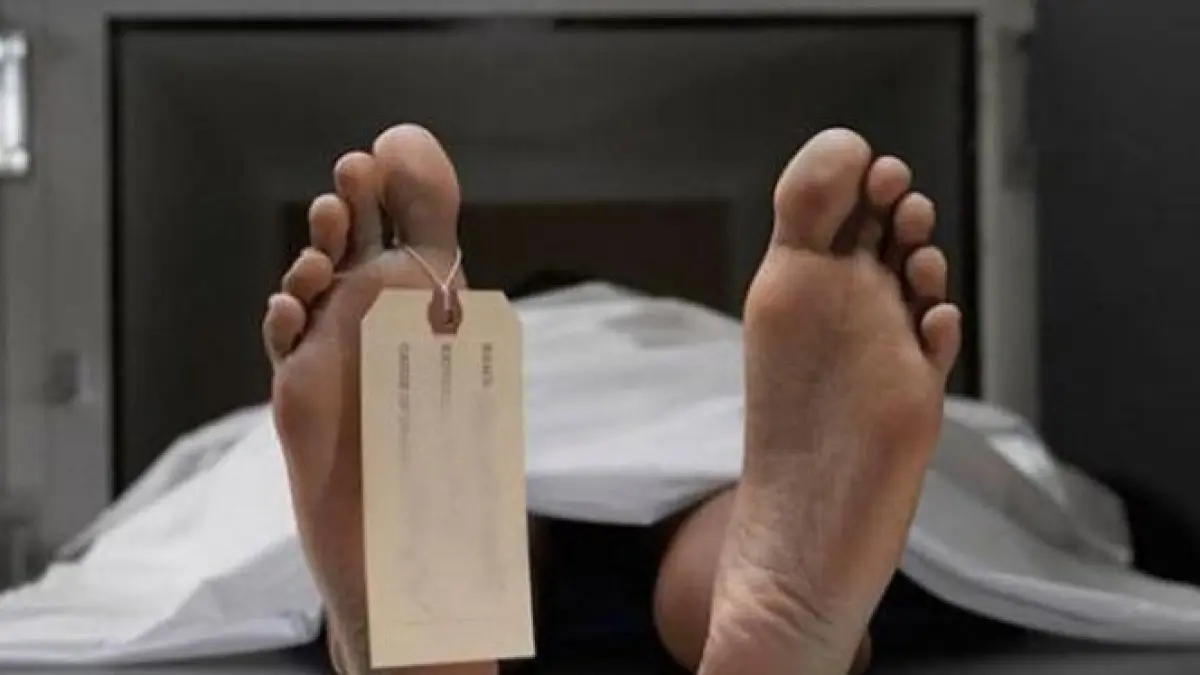 Kematian dokter Icha di NTT menjadi perhatian nasional. Kemenkes membentuk tim investigasi untuk menyelidiki dugaan intimidasi yang disebut dialami saat bertugas. (Istimewa)/jawapos