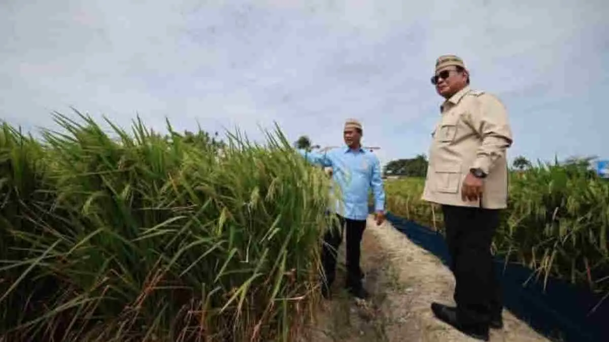 Indonesia berpeluang memiliki BBM berbasis tanaman dalam beberapa tahun mendatang. Presiden Prabowo optimistis singkong, jagung, dan sorgum dapat menjadi sumber energi alternatif yang tak hanya memperkuat ketahanan energi, tetapi juga meningkatkan kesejahteraan petani. (Sumber Foto: Instagram @presidenrepublikindonesia)