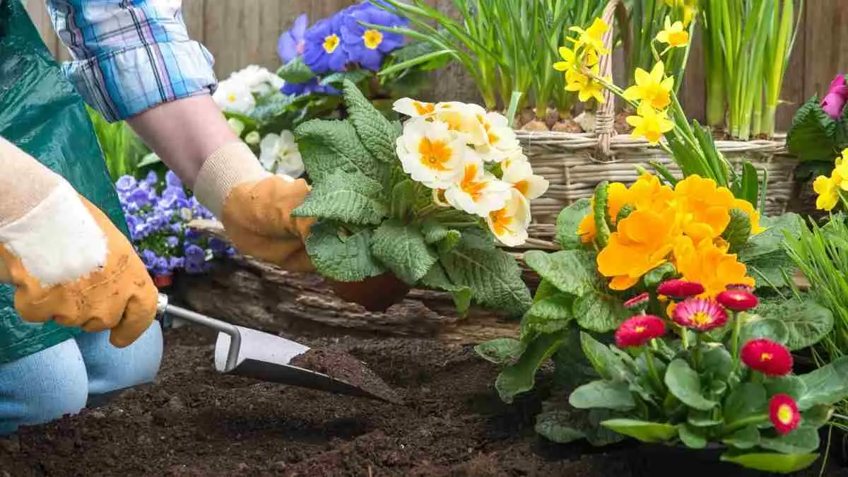 Ternyata berkebun bukan hanya membuat rumah lebih hijau. Banyak orang merasakan pikiran lebih tenang, stres berkurang, dan hidup lebih bahagia setelah rutin merawat tanaman. Mungkin ini saatnya kamu mulai menanam satu pot tanaman di rumah. (ilustrasi)