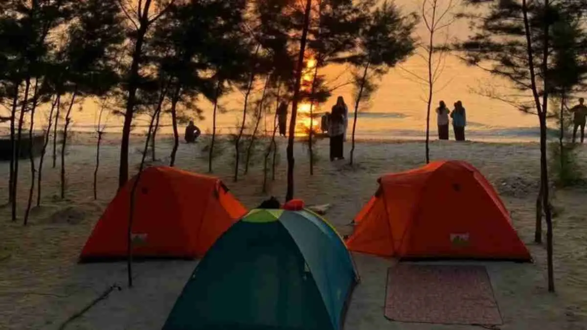 Sunset emas, suara ombak, langit penuh bintang, hingga sunrise yang menenangkan. Pantai Panduri Tuban menjadi destinasi camping favorit untuk healing tanpa harus menguras dompet. (instagram.com/@pantaipandurituban)