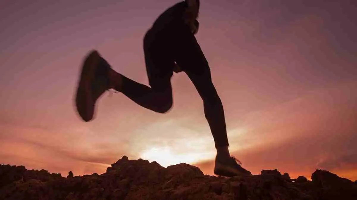 Trail run bukan sekadar olahraga lari. Sensasi menembus hutan, tanjakan, hingga panorama alam membuat banyak orang ketagihan. (ilustrasi)