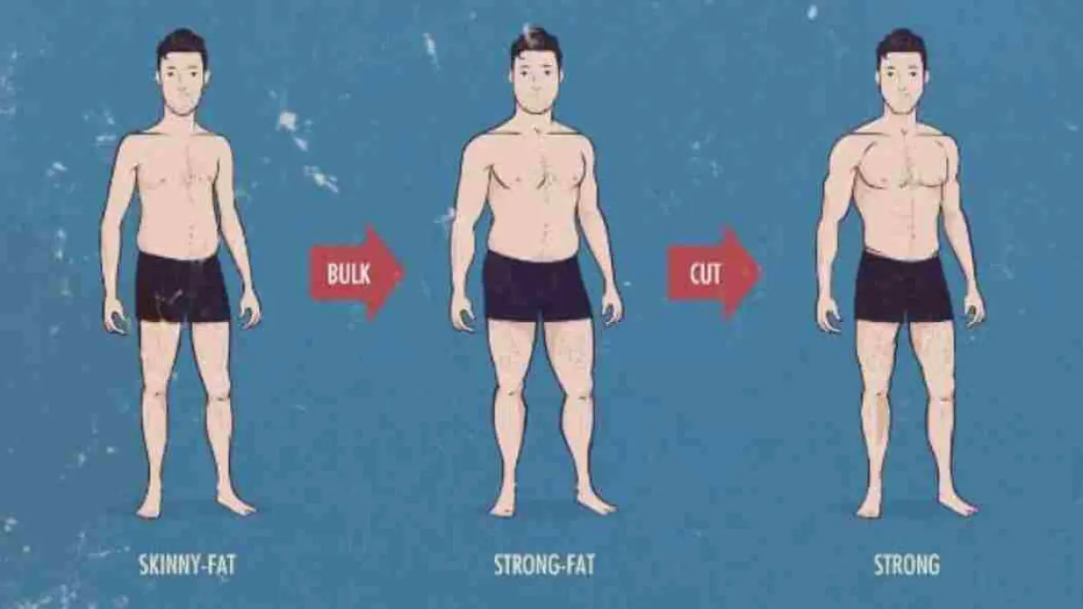 Sudah diet dan rutin olahraga tetapi perut tetap buncit? Penyebabnya bisa jadi bukan hanya makanan, melainkan hormon kortisol akibat stres berkepanjangan. Simak penjelasan lengkapnya dan pelajari cara mengatasinya agar lemak perut lebih mudah berkurang. (Sumber: Top Shape Gym)