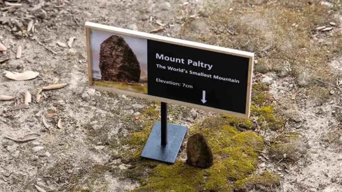 Gunung setinggi hanya 7 sentimeter? Mount Paltry menjadi viral karena dijuluki sebagai gunung terkecil di dunia. Meski ukurannya sangat mungil, keunikannya berhasil menarik perhatian pecinta alam dan warganet. Namun, benarkah status tersebut diakui secara ilmiah? (Sumber: Instagram @voxnative)