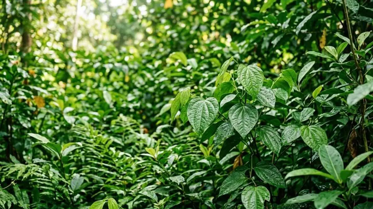 Selama ini kita melihat daun hijau setiap hari, tapi tahukah Anda alasan ilmiah di balik warnanya? Ternyata, warna hijau bukan sekadar ciri tumbuhan, melainkan bagian dari proses luar biasa yang menghasilkan oksigen dan menopang kehidupan di Bumi. (Ilustrasi dedaunan berwarna hijau: Ai)