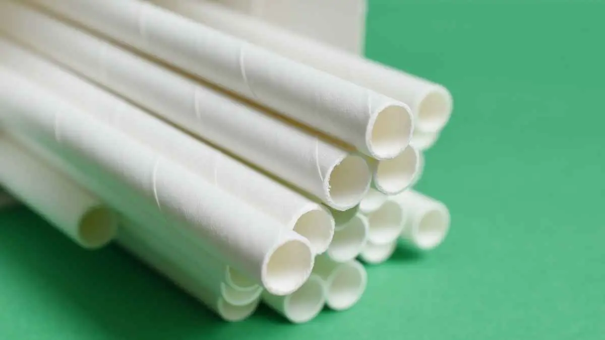 Selama ini sedotan kertas dianggap sebagai penyelamat lingkungan. Tapi benarkah demikian? Ternyata ada fakta ilmiah yang menunjukkan bahwa persoalannya jauh lebih kompleks daripada sekadar mengganti plastik dengan kertas. (Ilustrasi)