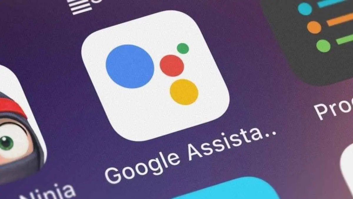 Google resmi umumkan jadwal untuk hentikan layanan Google Assistant. (Sumber: Vishnu Thambi/Pinterest)
