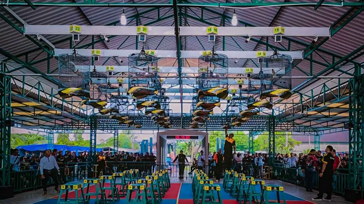 Lagu "Kicau Mania" bukan hanya menggambarkan serunya dunia gantangan, tetapi juga mengingatkan bahwa hobi burung berkicau bisa berjalan seiring dengan upaya menjaga kelestarian alam. (gantanganprasasti.io)