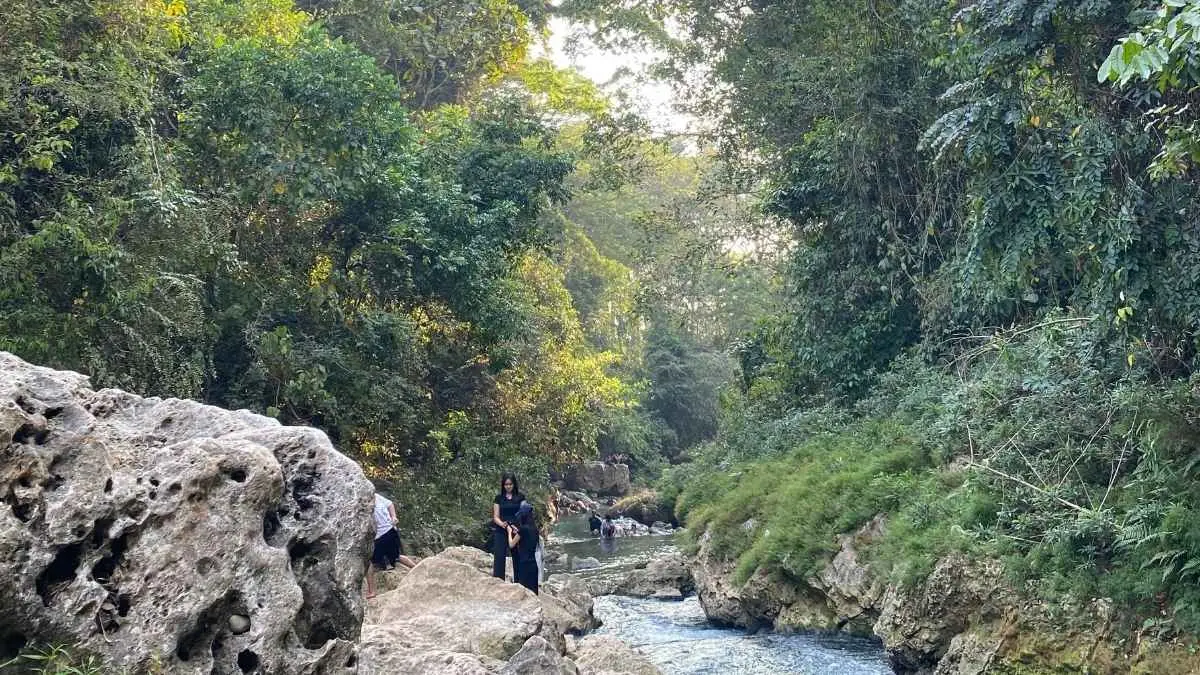 Masih mencari tempat healing yang tenang di Tuban?. Sumber Mata Air Krawak di Desa Guwoterus menawarkan air sebening kaca, suasana hutan jati yang asri, dan ketenangan yang sulit ditemukan di tempat lain. Hidden gem ini cocok untuk piknik, berburu foto, atau sekadar menikmati suara alam yang menenangkan. (Muhammad Azlan Syah/Radar Bonang)