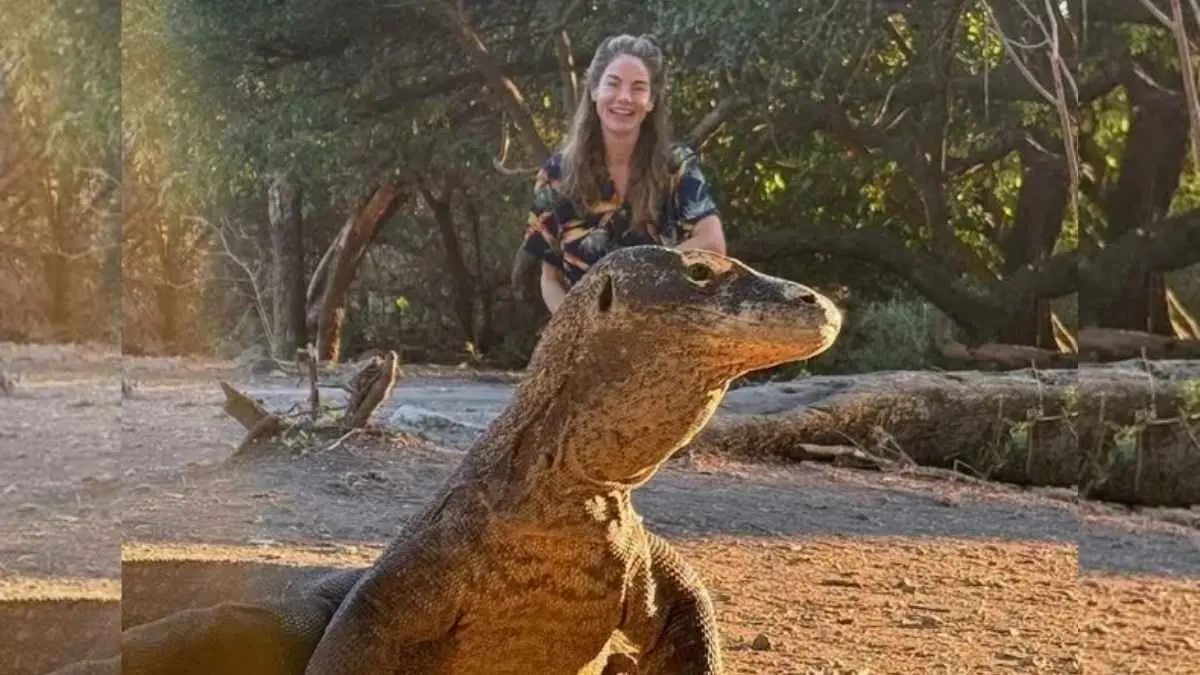 Cuma gara-gara satu pertanyaan, Michelle Monaghan sampai balik lagi ke Indonesia!. Saat ngobrol dengan Robert De Niro, Michelle ditanya apakah sudah melihat komodo ketika liburan ke Indonesia. (instagram.com/michellemonaghan)