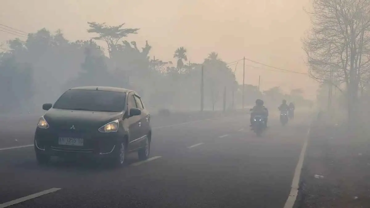 Kalimantan kembali bergulat dengan kabut asap. Ribuan titik panas bermunculan, lahan gambut terus terbakar, sementara dampaknya mulai dirasakan masyarakat. (AFP/ Reina)