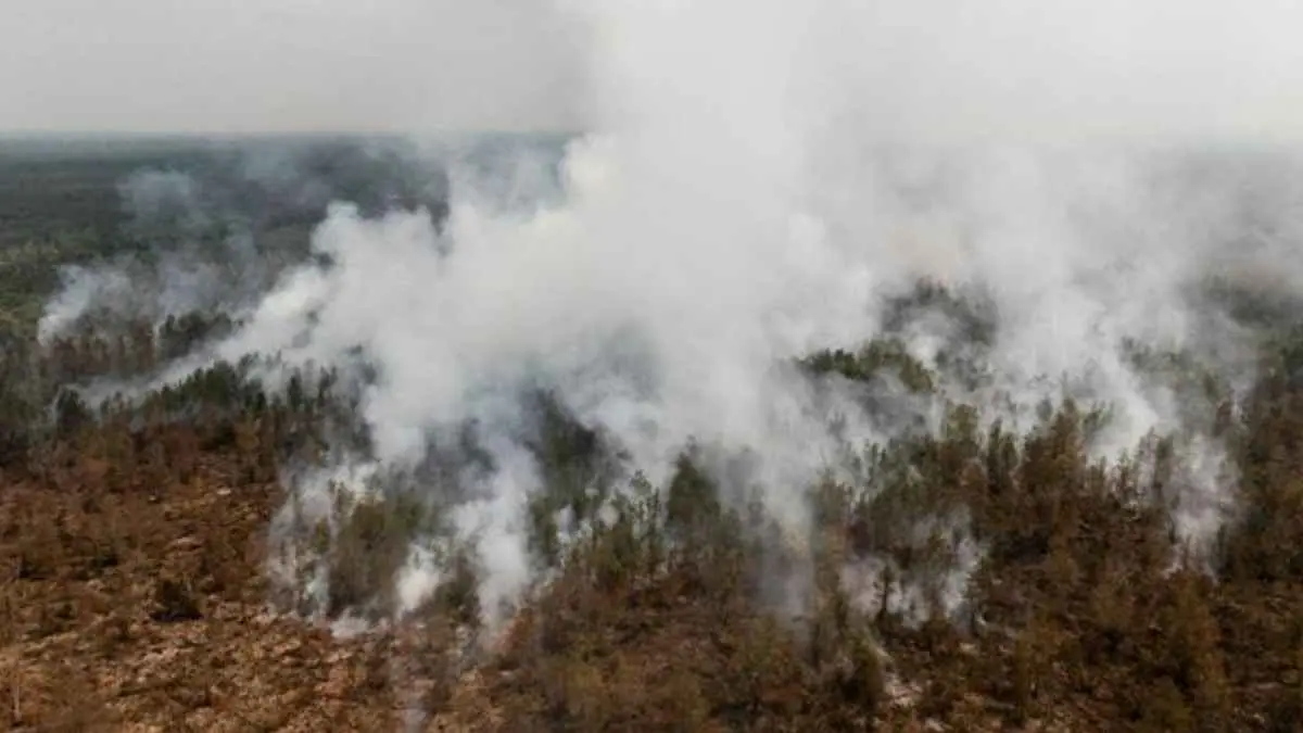 Kalimantan kembali menghadapi ancaman karhutla. BNPB mendeteksi 1.487 titik panas berdasarkan pemantauan Satelit NOAA-20 pada Kamis (20/8/2026). (Foto: REUTERS/Ajeng Dinar Ulfiana)