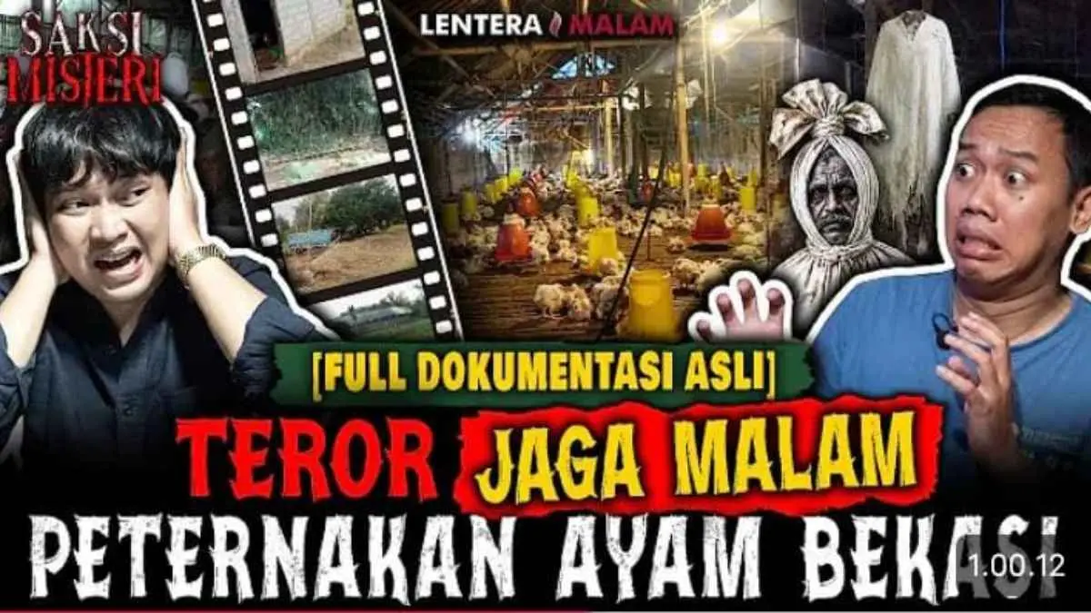 Kisah horor penjaga peternakan ayam milik Ayahnya setelah dua penjaga sebelumnya tiba-tiba keluar tanpa sebab. (Sumber Foto: Tangkapan layar YouTube @Lentera Malam)