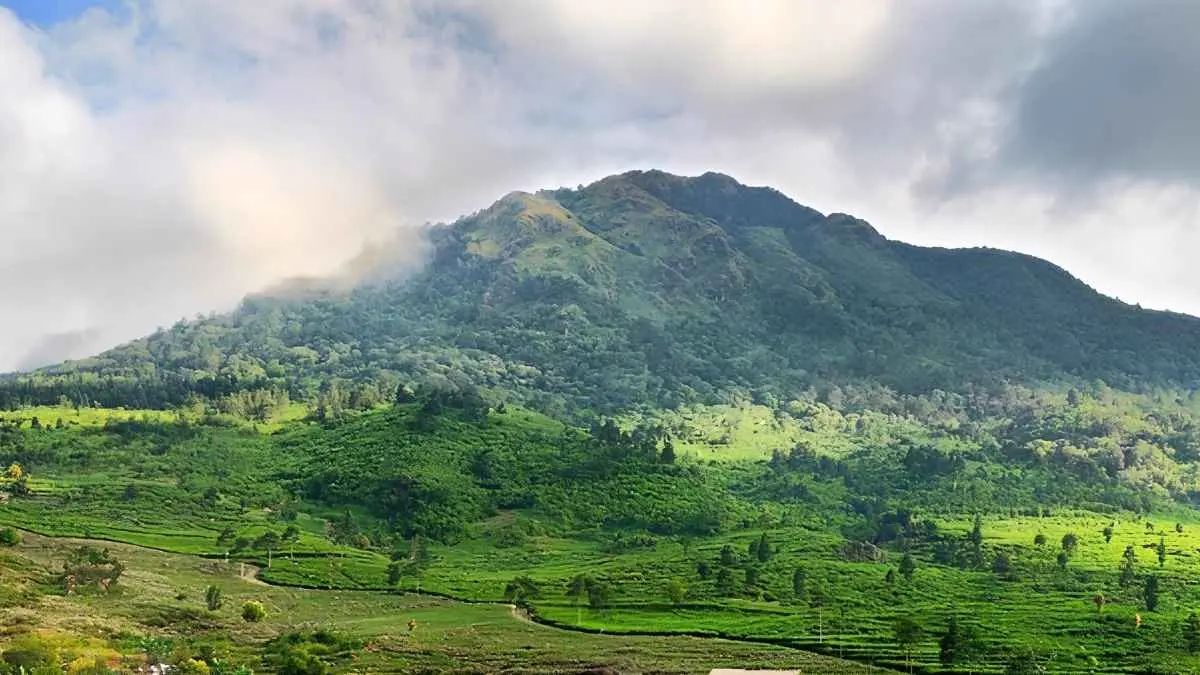 Gunung Ungaran bakal dieksplorasi untuk mencari sumber panas bumi hingga kedalaman 2.200 meter. Tapi benarkah pengeboran akan langsung dilakukan? Ini penjelasan pemerintah dan potensi dampaknya bagi warga sekitar. (Foto: Muhammad Naufal/kumparan)