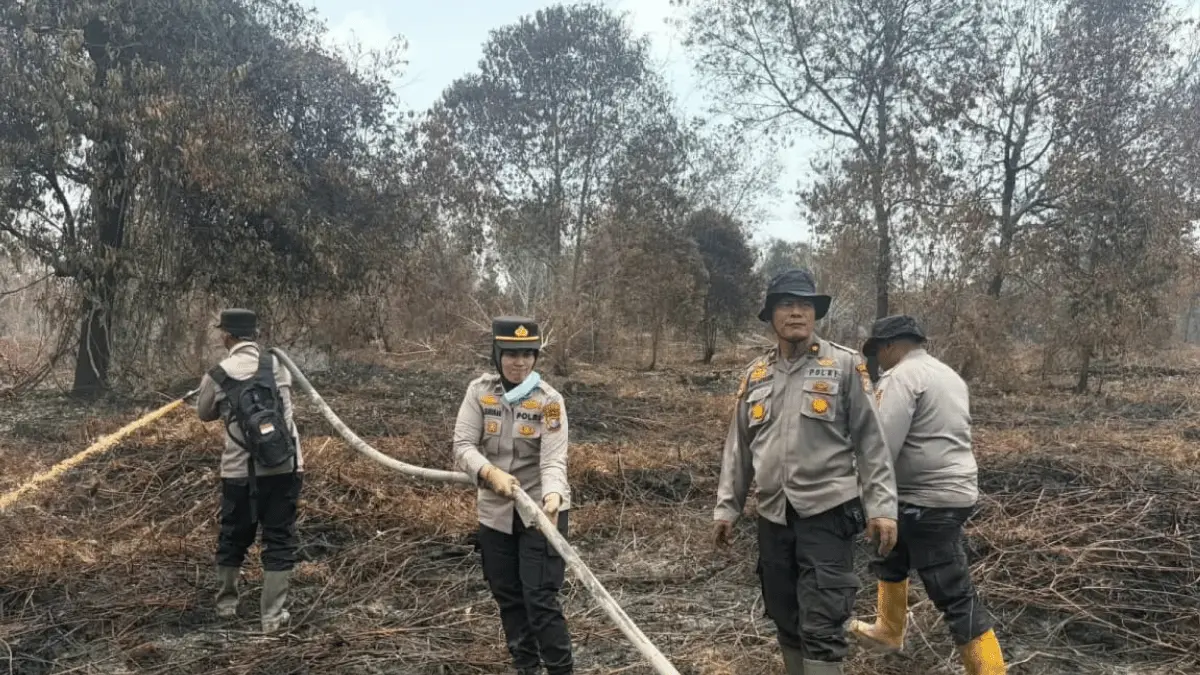 Penanganan hukum kasus kebakaran hutan dan lahan terus dikebut Polri. Hingga 3 September 2026, sebanyak 112 orang ditetapkan sebagai tersangka dari 167 laporan polisi. Riau menjadi wilayah dengan jumlah tersangka terbanyak, sementara pembukaan lahan dengan cara dibakar disebut menjadi salah satu motif dominan. (jawapos)