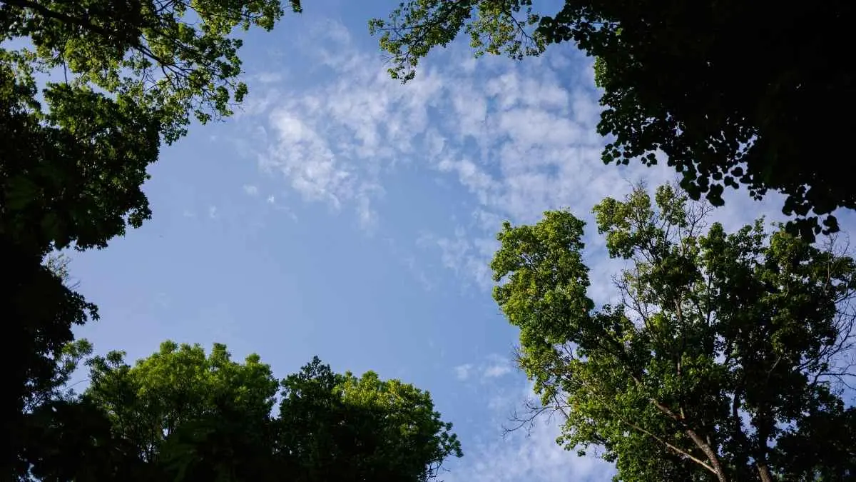 Langit biru ternyata bukan jaminan udara aman. Polusi seperti PM2.5 bisa bersembunyi di udara tanpa terlihat oleh mata. Sebelum beraktivitas di luar, jangan cuma lihat langit. Cek juga kualitas udaranya. (ilustrasi)