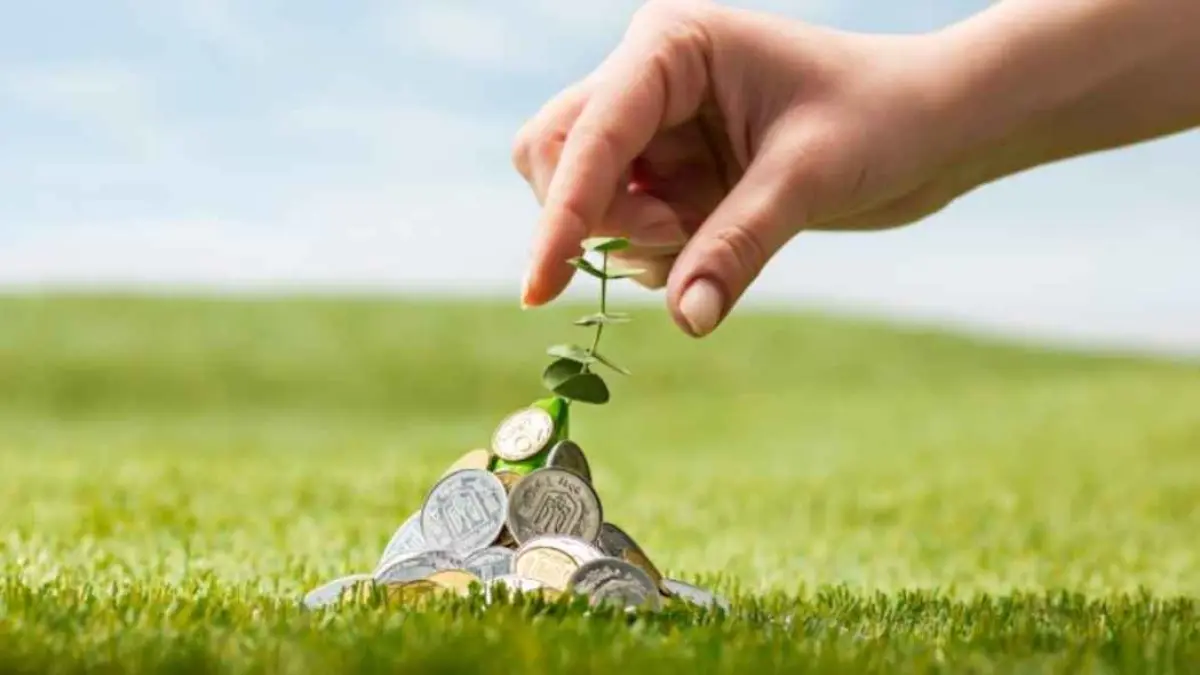 Investasi bukan cuma soal cuan. Green sukuk menawarkan pilihan investasi berbasis syariah sekaligus mendukung pembiayaan proyek ramah lingkungan. (istimewa)