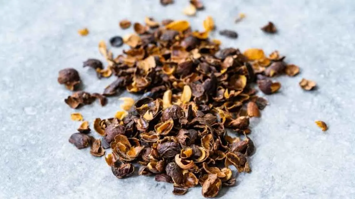 Selama ini kulit kopi cuma dianggap limbah? Ternyata bagian ini masih bisa dimanfaatkan, dari bahan kompos hingga cascara yang bisa diseduh. (istimewa)