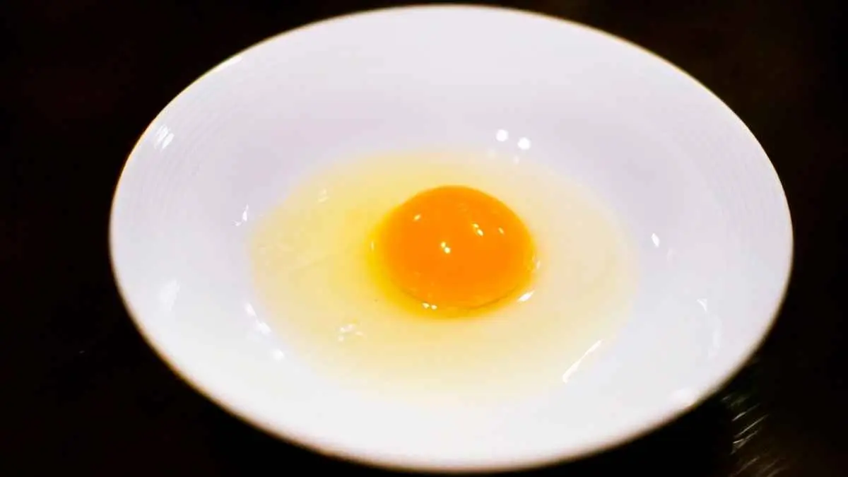 Telur mentah sering dianggap lebih baik untuk menambah protein dan membentuk otot. Padahal, protein telur matang lebih mudah dicerna dan pemasakan membantu mengurangi risiko infeksi Salmonella. Kenali manfaat telur sekaligus cara aman mengonsumsinya. (ilustrasi)
