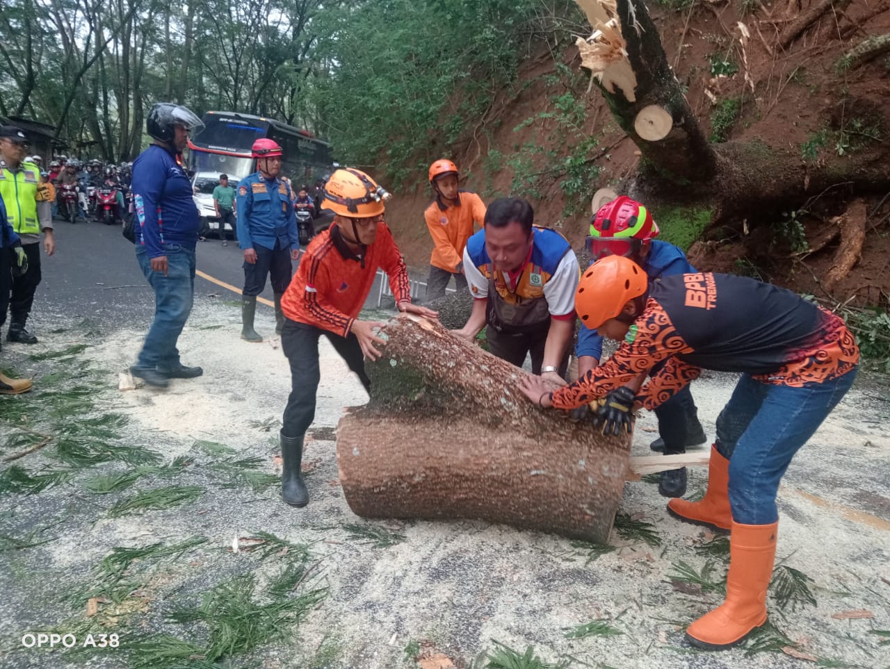 Petugas gabungan menyisihkan batang kayu yang roboh di jalur Trenggalek-Ponorogo