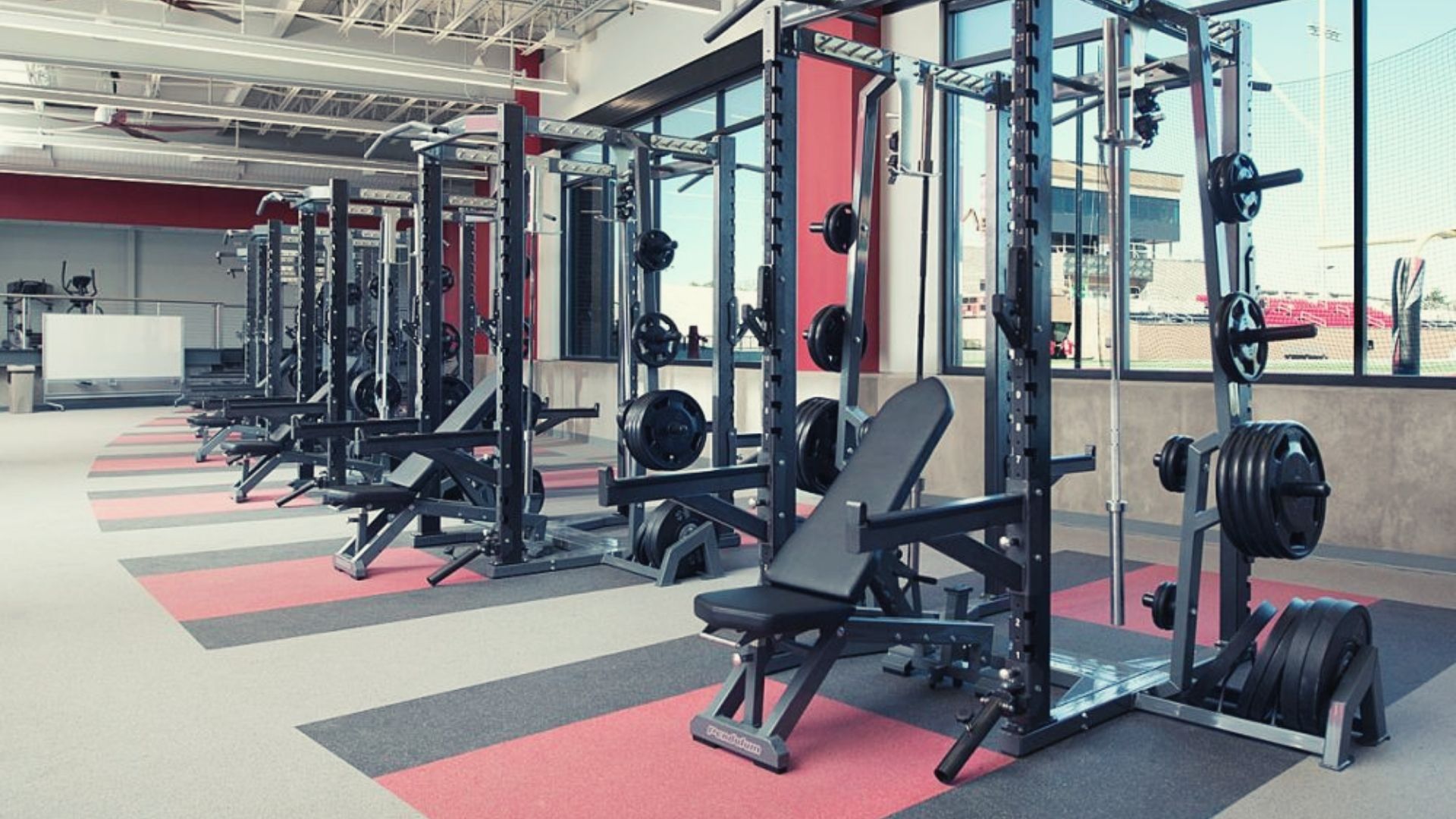 Bebeapa alat gym yang sering digunakan buat pemula yang ingin membentuk massa otot