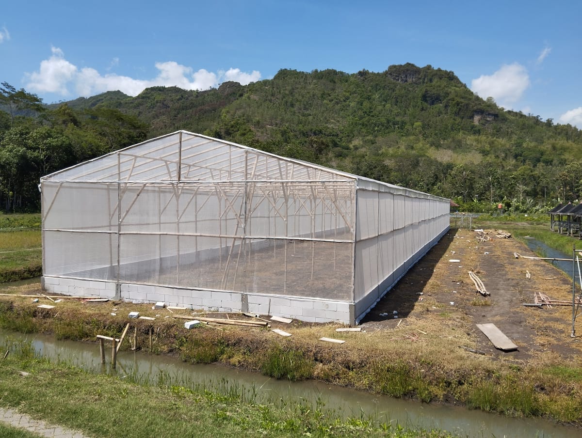 Proses pembuatan Greenhouse (rumah tanaman ) desa pakis hampir selesai pengerjaannya
