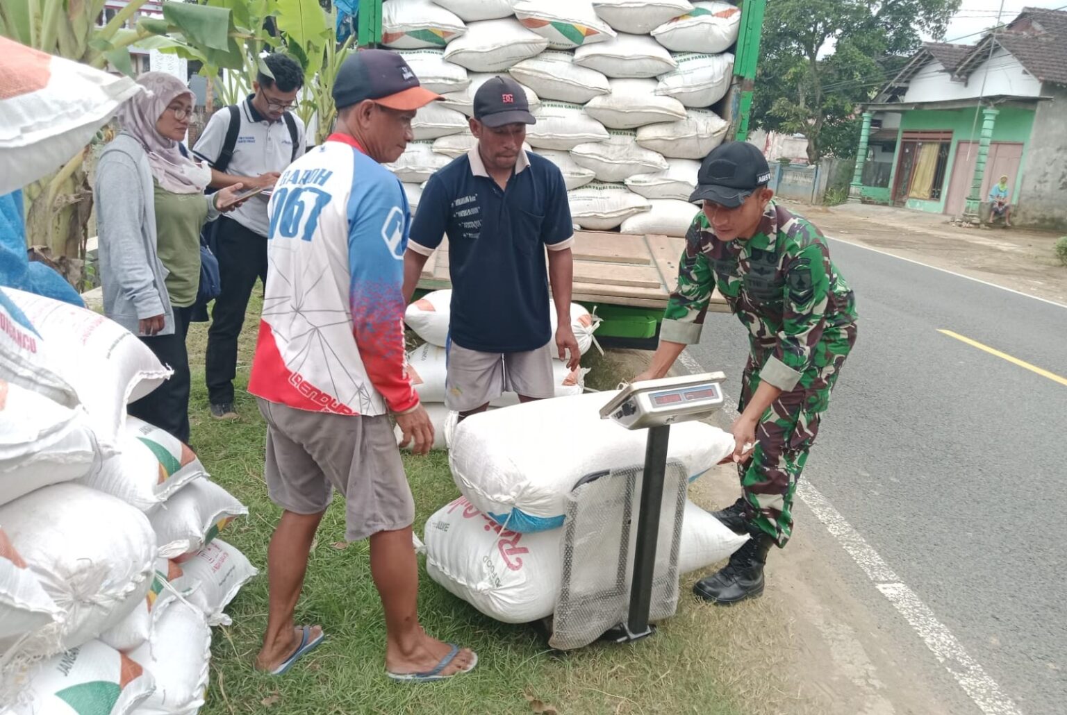 Petani di Trenggalek menimbang gabah hasil panen untuk di serahkan ke Bulog