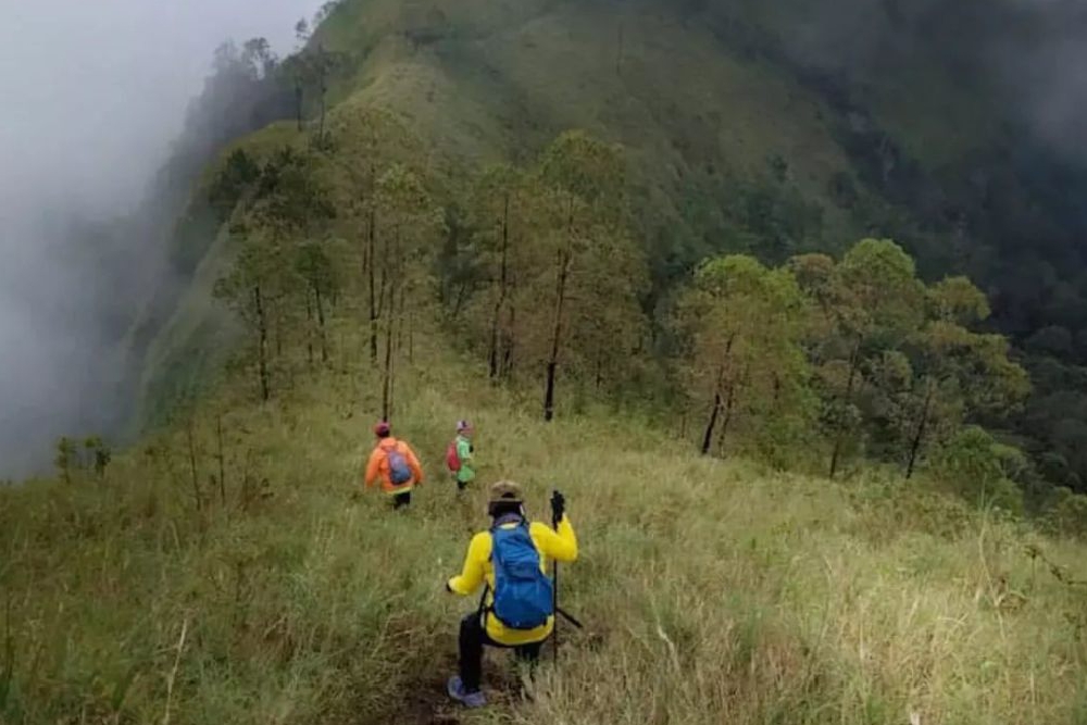 Jalur pendakian Gunung Wilis yang rencananya juga akan ada di Trenggalek via Desa Botoputih yang digagas oleh Prajurit Rimba Trenggalek.