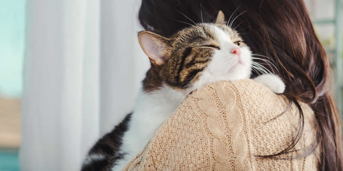 pecinta kucing seringkali memiliki kepribadian unik. Kucing adalah makhluk yang anggun, penuh misteri, sekaligus penuh kasih.