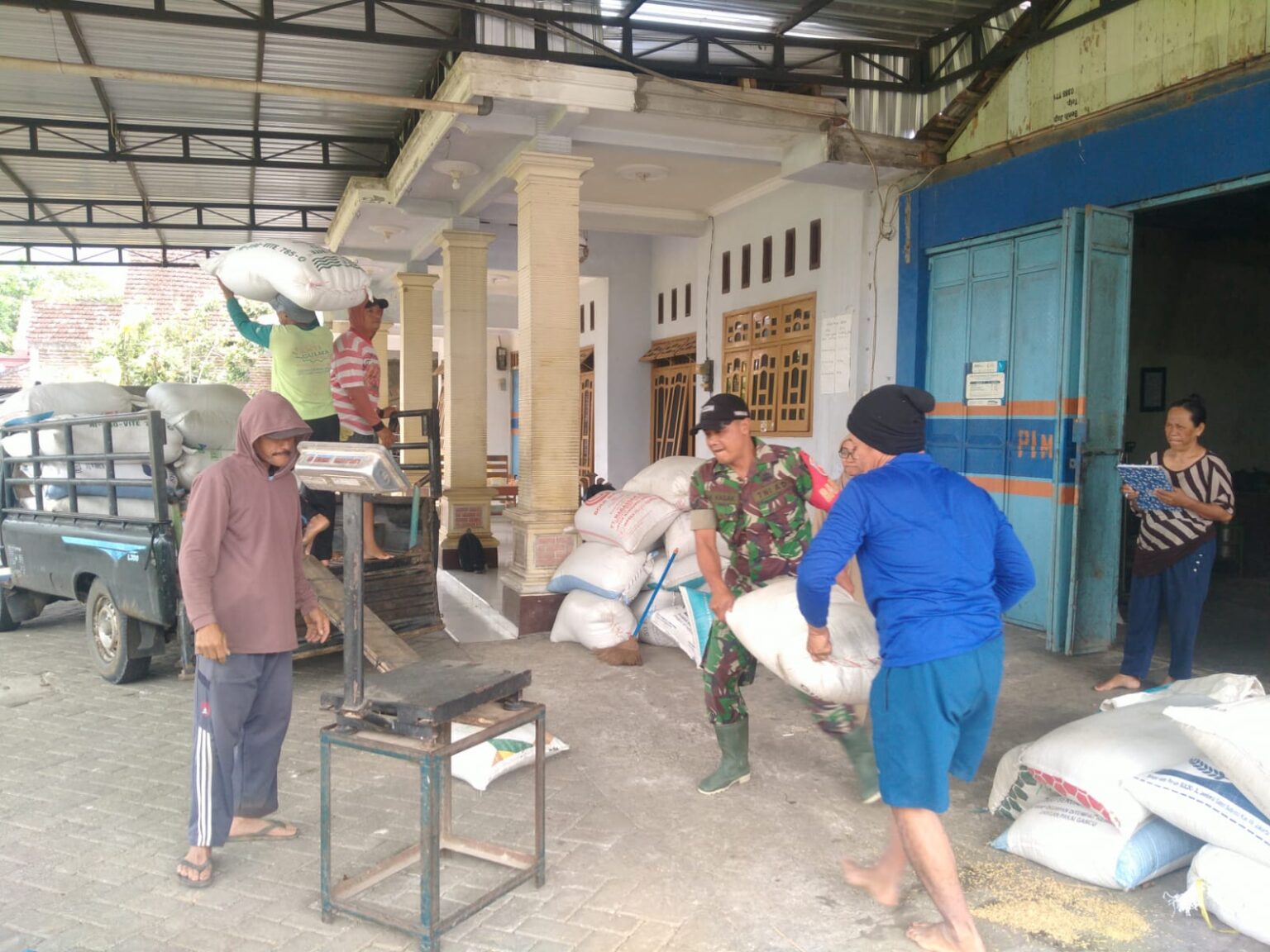 Petani di karangan yang di bantu babinsa menjual gabah ke gudang bulog