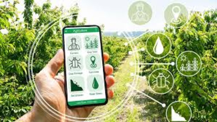 Teknologi pertanian jadi solusi  petani hadapi krisis air