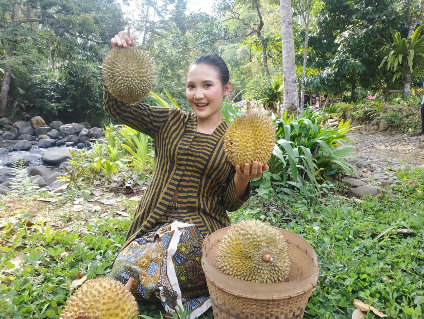 Wisata duren sari menyajikan berbagai jenis durian yang lezat dan sebagai sarana wisata edukasi