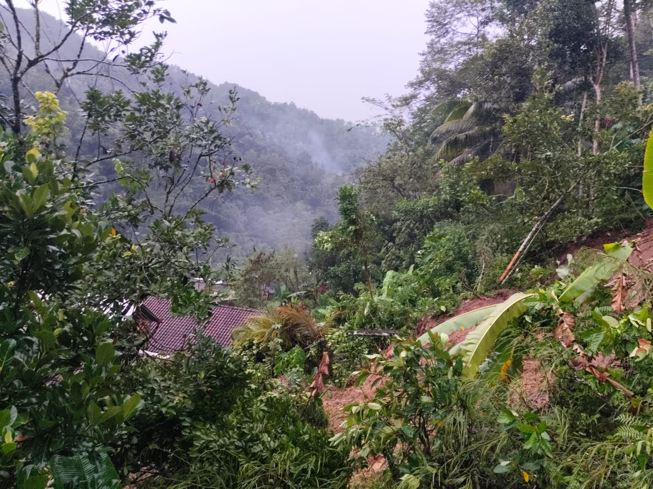 Tebing di Desa Ngadi mulyo, Kecamatan Kampak, Trenggalek yang longsor dan menimpa dua rumah