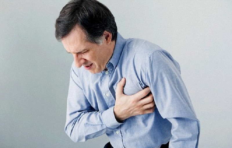 Jantung organ vital yang bekerja tanpa henti memompa darah ke seluruh tubun