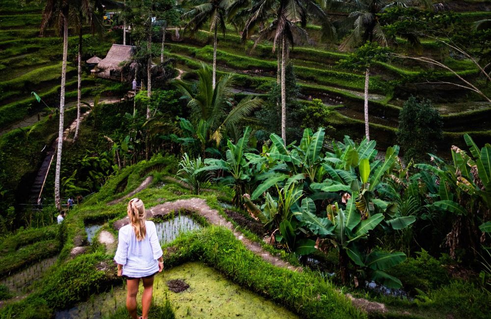 Keindahan Ubud menawarkan suasana ideal untuk melambat dan beristirahat.