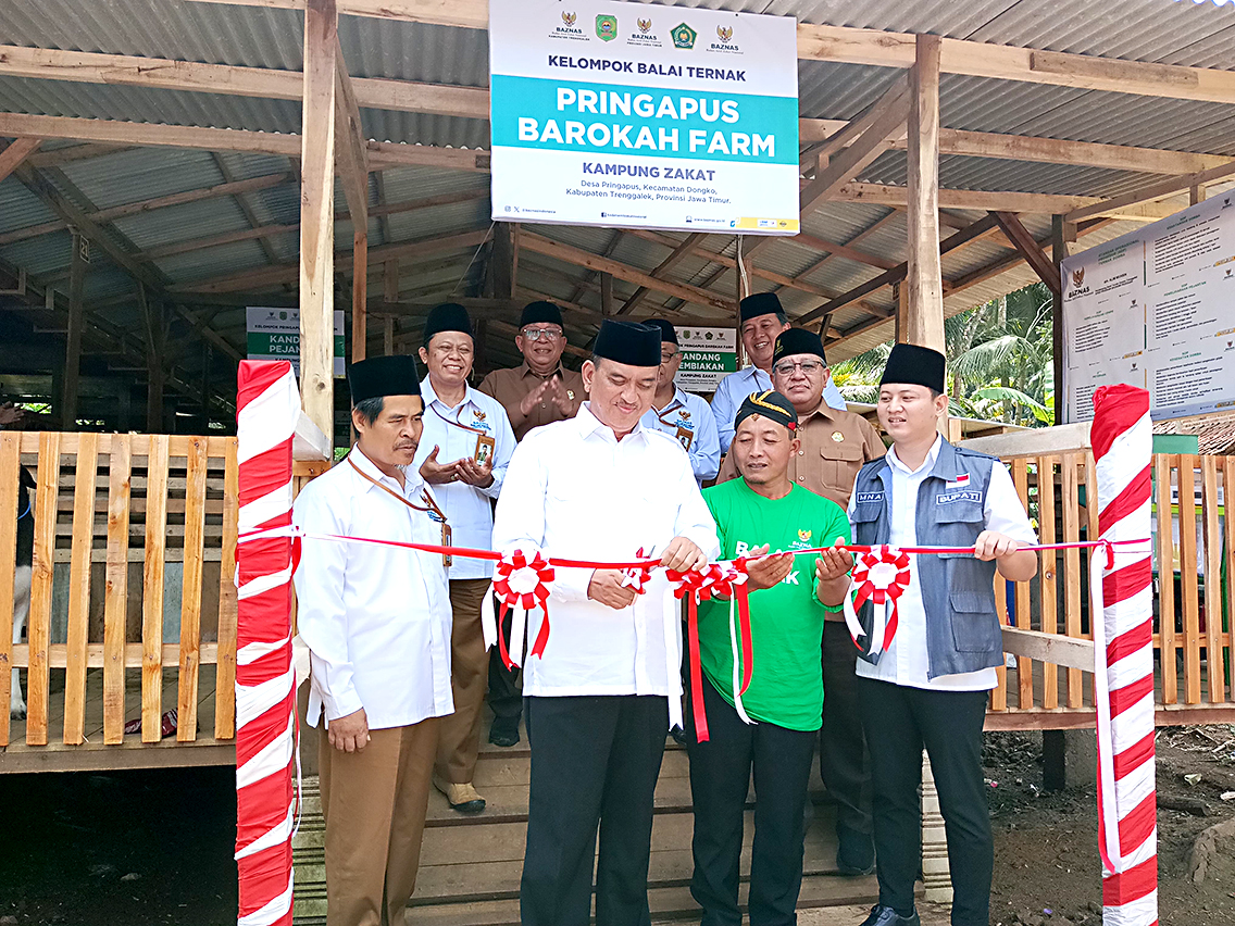 BAZNAS luncurkan Balai Ternak ke-46 di Trenggalek, berikan 205 domba dan pendampingan bagi 20 peternak lokal.