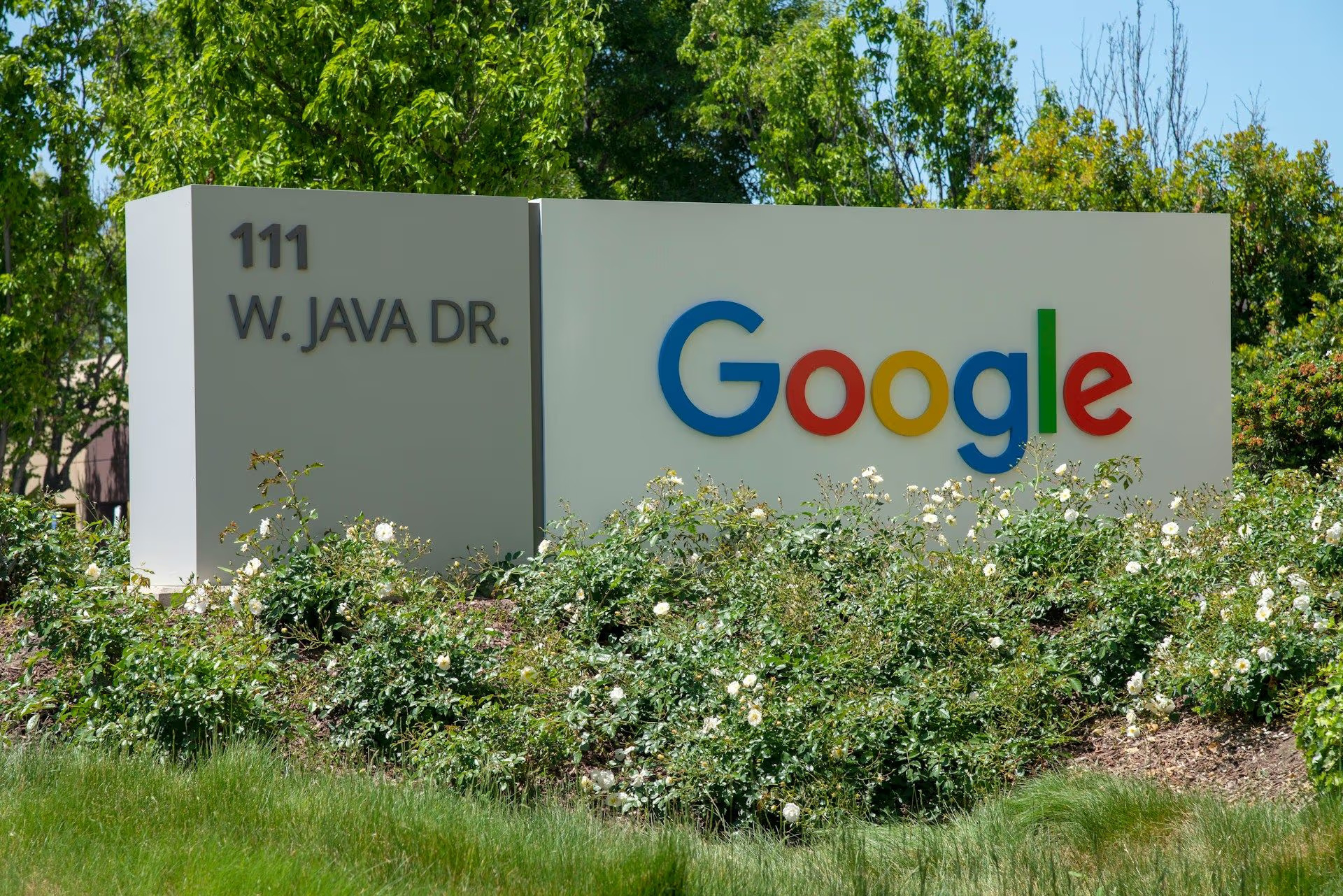 Google Wallet kini bisa verifikasi umur tanpa bocorkan data pribadi.