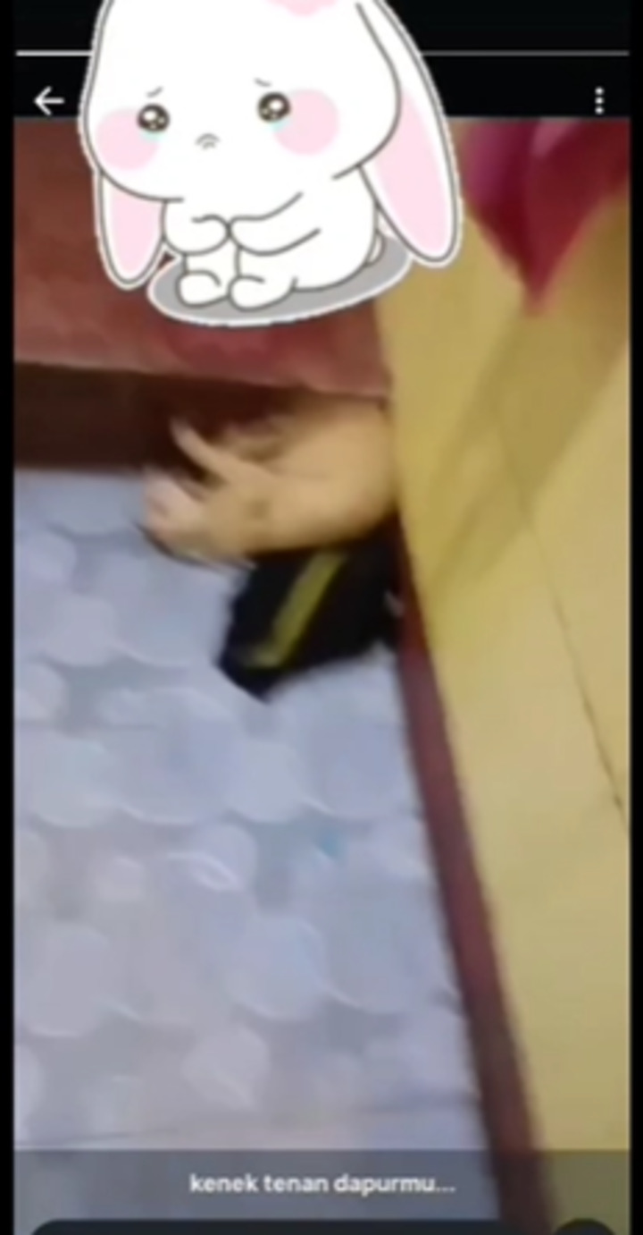 Cuplikan penganiyayan kucing