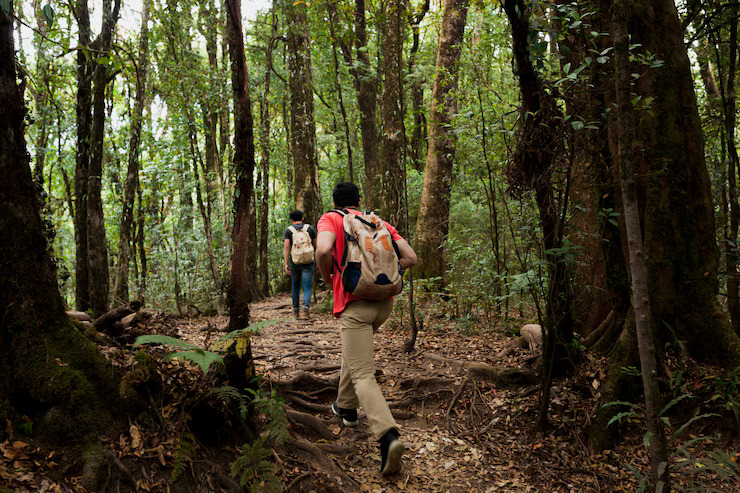 Perbedaan tektok, hiking, maupun trekking